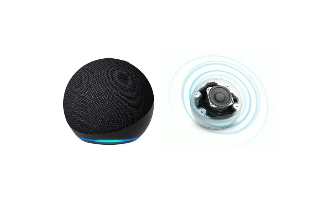 Amazon Echo vs Google Nest