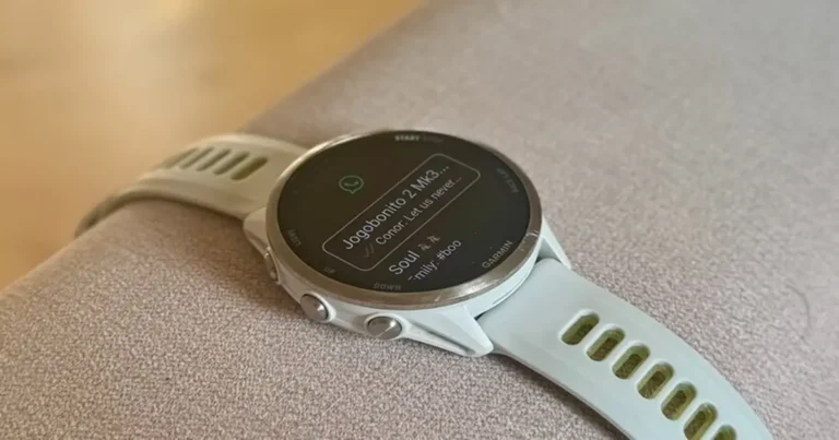 Garmin e WhatsApp